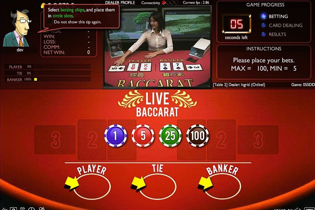 A Guide to Understanding Baccarat Side Bets